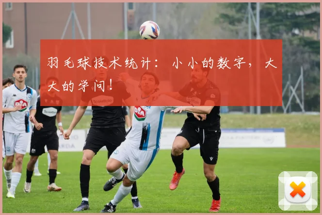 羽毛球技术统计：小小的数字，大大的学问！