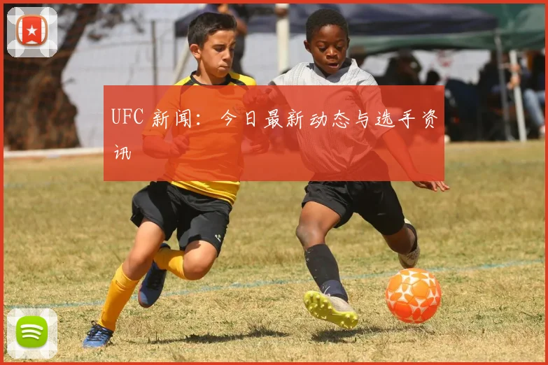 UFC 新闻：今日最新动态与选手资讯