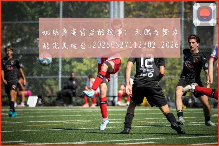 姚明身高背后的故事:天赋与努力的完美结合_20260527112302_20260703233103_20260720192451