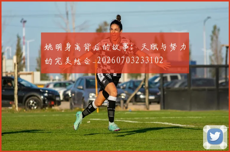 姚明身高背后的故事：天赋与努力的完美结合_20260703233102